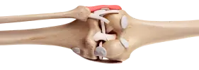 توضيح المفصل
